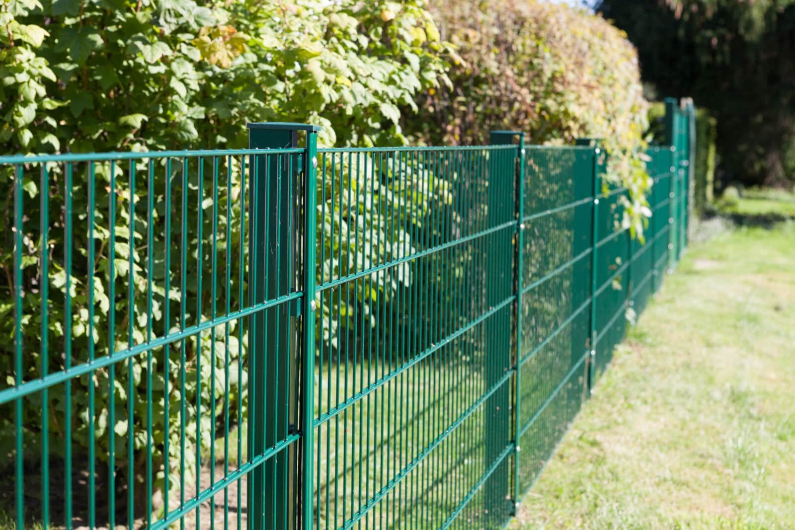 Grüner Doppelstabmattenzaun an einer Hecke, daneben eine Rasenfläche